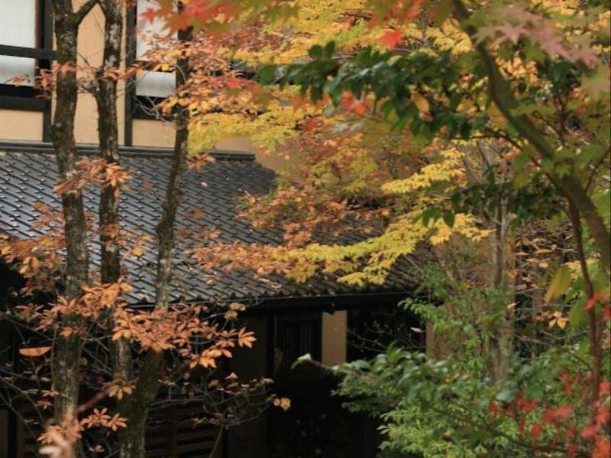 Ryokan Wakaba Minamioguni Luaran gambar